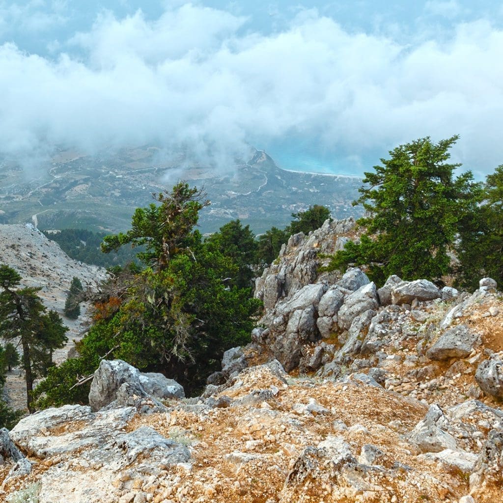 Mount Aenos National Park Kefalonia forested mountain landscape and viewpoints